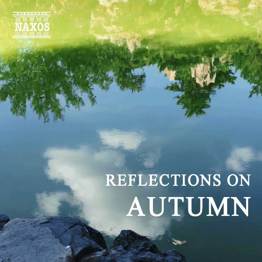 龚玥菲主演1-5集在线观看
